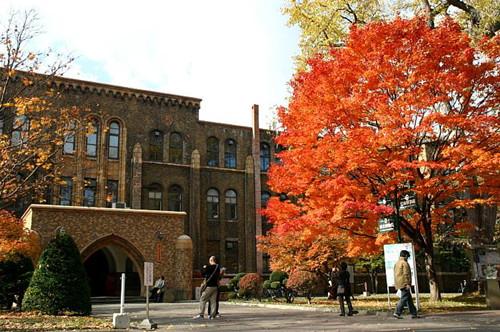 中国承认日本早稻田大学的学历