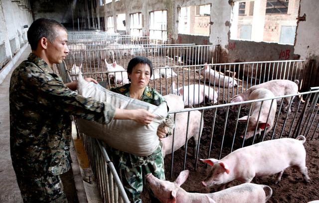大型养猪场饲养员学历