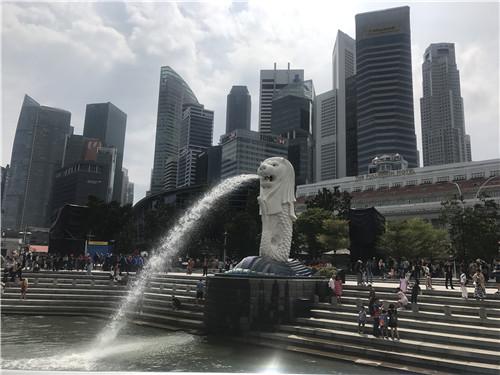 自考学士学位能申请新加坡留学吗