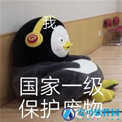 小企鹅Pengsoo沙雕表情包