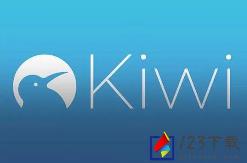 《kiwi浏览器》怎么安装扩展插件