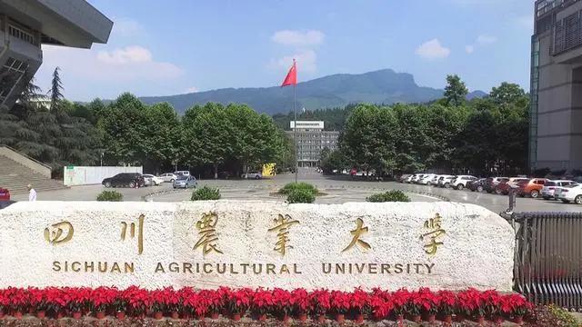 四川农业大学自考本科学前教育
