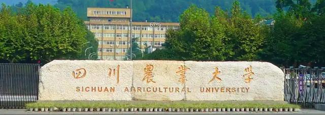 自考四川农业大学如何备考