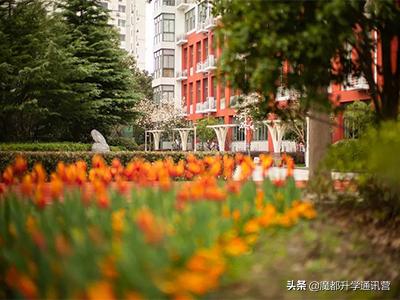 上海学历模式国际学校