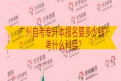 广州广东怎么报名自考大专，在广州哪里可以报考自考大专怎么做？